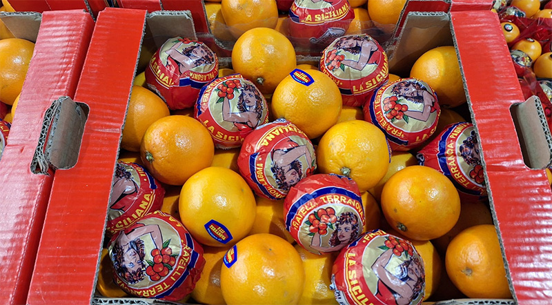 Tarocco Gallo, Sicilia, cal.9 1,40 euro al chilo